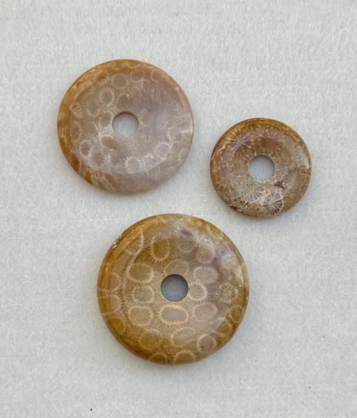 Donut Versteinerte Koralle – Gemeinschaft & Teamgeist (25 mm) -